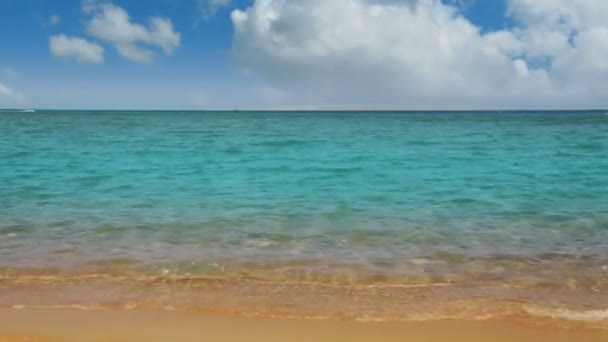 Landscape with turquoise sea and golden sand beach — Stock Video